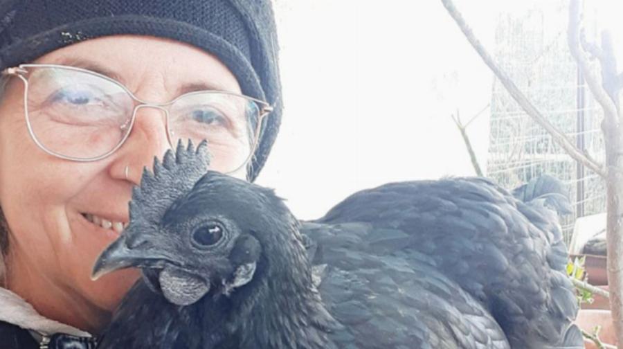 Τα παράτησε όλα και έγινε βοσκοπούλα: Η Ελληνίδα Μις Γιανγκ που άφησε το μόντελινγκ και βρήκε την ησυχία της στην Πρέβεζα