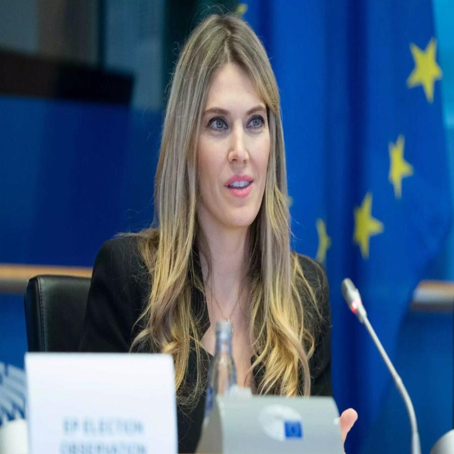 Μιχάλης Δημητρακόπουλος – Αθώα η Καϊλή: «Τα λεφτά δεν είναι δικά της, τα πήγε σπίτι ο σύζυγός της»