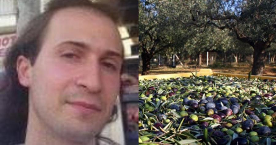 Ανείπωτη τραγωδία στο Ηράκλειο: 42χρονος «έσβησε» την ώρα που ράβδιζε ελιές μπροστά στα μάτια του κουμπάρου του