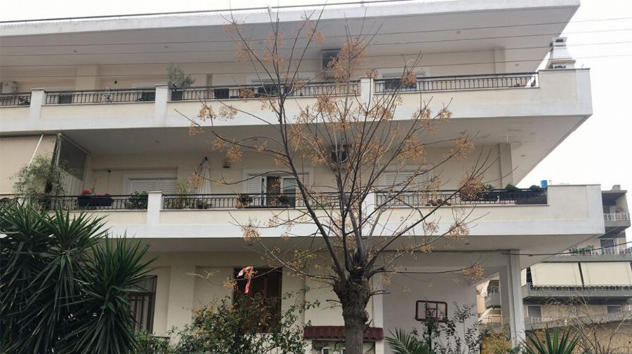 «Ήθελε να σταματήσουμε να βρισκόμαστε. Θόλωσα»: Η αποκάλυψη της 17χρονης στους αστυνομικούς για το στυγερό έγκλημα στο Μαρούσι