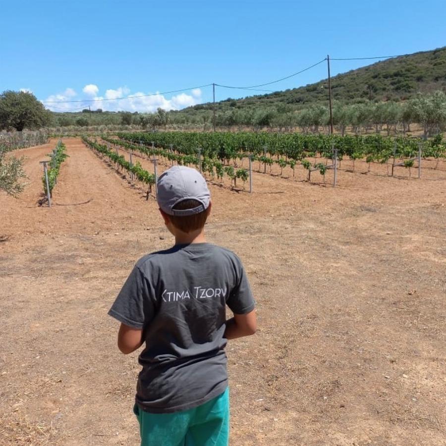 Τα άφησε όλα πίσω του και έγινε αγρότης: Ο Αλέξανδρος Τζόρβας με το που «κρέμασε» τα παπούτσια του έφτιαξε ένα επίγειο παράδεισο στη Λακωνία