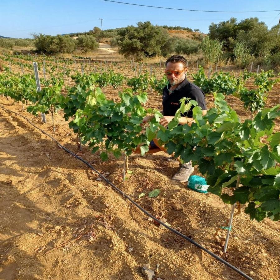 Τα άφησε όλα πίσω του και έγινε αγρότης: Ο Αλέξανδρος Τζόρβας με το που «κρέμασε» τα παπούτσια του έφτιαξε ένα επίγειο παράδεισο στη Λακωνία