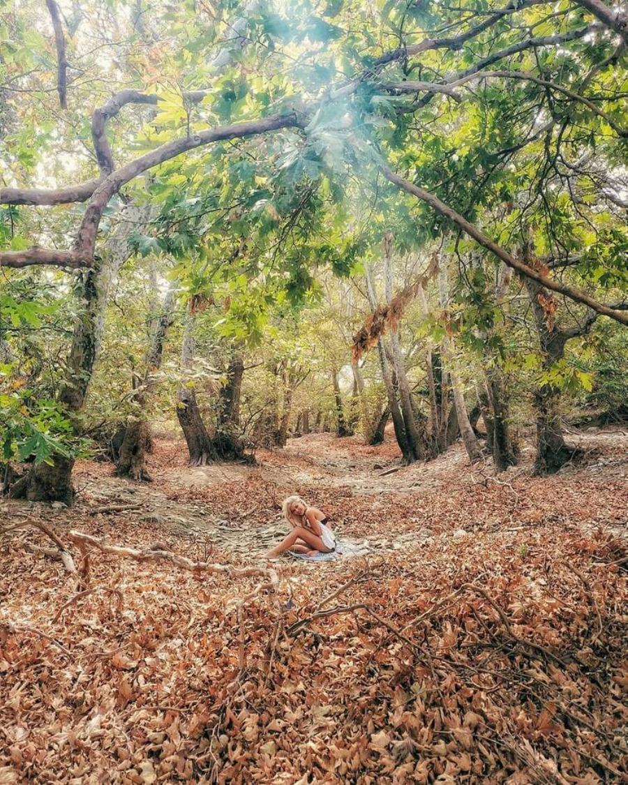 Ξετυλίχθηκε το κουβάρι: Η «κόρη της Μενεγάκη» αποκαλύφθηκε, είναι αεροσυνοδός και πρώην του αδελφού της, Θοδωρή Μισόκαλου