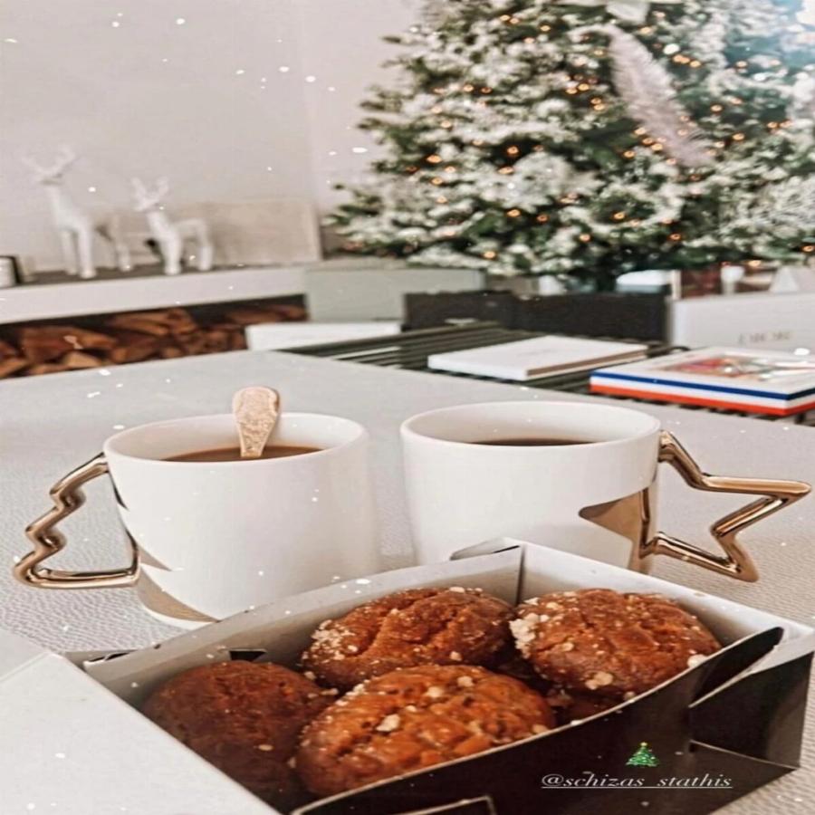 Είναι ένα αληθινό όνειρο: Τεράστιος καναπές, παντού παράθυρα και όλα λευκά – Το σπίτι των Παναγιώταρου και Σχίζα τα έχει όλα