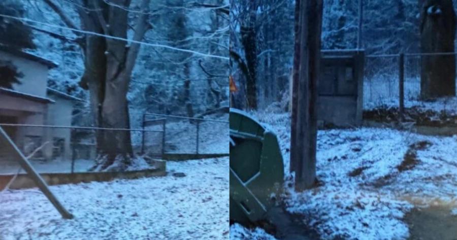 Στα «λευκά» η Θεσσαλονίκη: Οι πρώτες χιονοπτώσεις σε Χορτιάτη και Φίλυρο