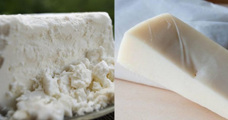 Τίποτα δεν πάει χαμένο: Το έξυπνο κόλπο για να μη μουχλιάσει ποτέ ξανά το τυρί στο ψυγείο σας
