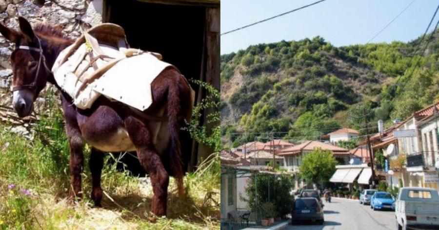 Η ιστορία της Εμμανουέλας: «Παράτησα τη ζωή στην Αθήνα για ένα χωριό 300 κατοίκων και νιώθω ότι ήδη έχω κερδίσει 10χρόνια ζωής»