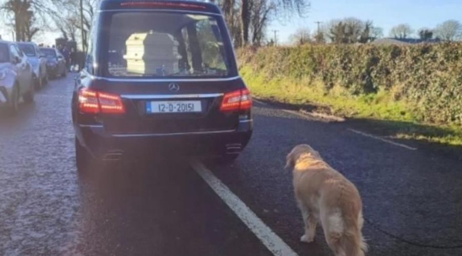 Βούρκωσε το διαδίκτυο: Πιστός σκύλος συντρόφευσε την ιδιοκτήτριά του, μέχρι και την τελευταία της κατοικία