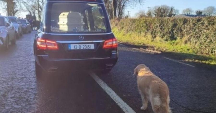 Βούρκωσε το διαδίκτυο: Πιστός σκύλος συντρόφευσε την ιδιοκτήτριά του, μέχρι και την τελευταία της κατοικία