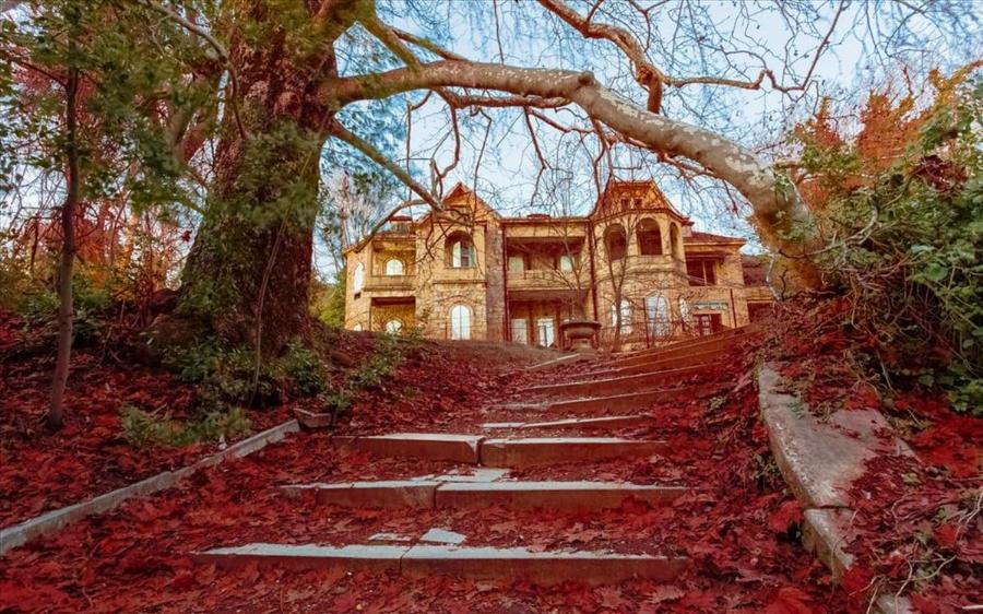 Ζαλίζουν τα νούμερα: Αυτή είναι η μυθική περιουσία του τέως Βασιλιά Κωνσταντίνου