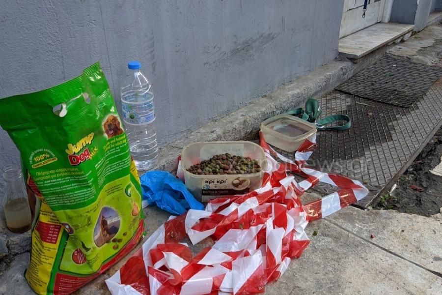 Συγκίνηση με σκυλάκι «Χάτσικο»: Περιμένει υπομονετικά το νεκρό αφεντικό του έξω από το σπίτι στα Χανιά