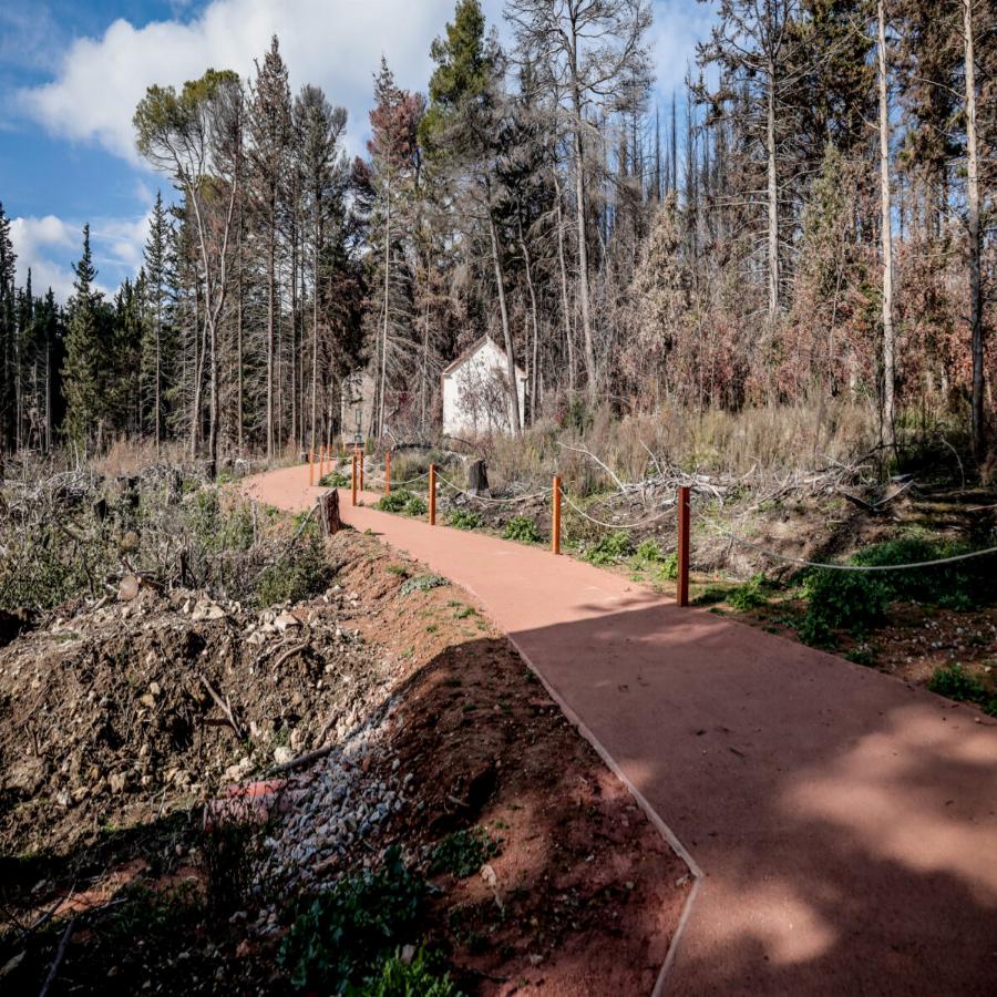 Η μεταμόρφωση στο Τατόι: Έτοιμο μέσα σε λίγα 24ωρα για την ταφή του τέως βασιλιά Κωνσταντίνου