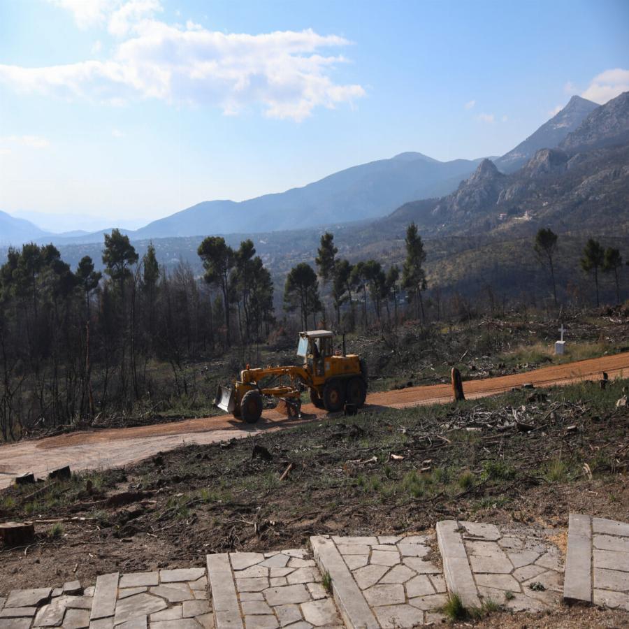 Η μεταμόρφωση στο Τατόι: Έτοιμο μέσα σε λίγα 24ωρα για την ταφή του τέως βασιλιά Κωνσταντίνου