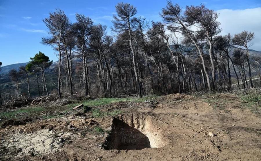 Τρέχουν και δεν φτάνουν στο Τατόι: Πώς ήταν το «βασιλικό νεκροταφείο» πριν τη φωτιά του 2021 και πώς είναι σήμερα