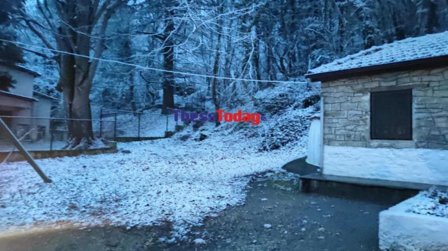 Στα «λευκά» η Θεσσαλονίκη: Οι πρώτες χιονοπτώσεις σε Χορτιάτη και Φίλυρο