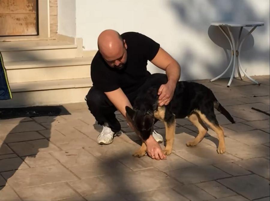 Σαν ταινία στον κινηματογράφο: Θεσσαλονικιός βρήκε τον σκύλο του, που είχε χαθεί το 2017 και η αντίδρασή του προκαλεί συγκίνηση