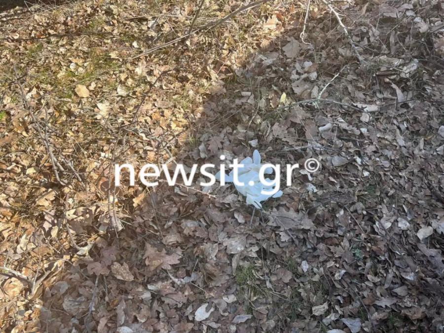 «Κανείς δε πιστεύει ότι αυτοκτόνησε»: Το σημείο  της φρίκης που βρέθηκε νεκρή η 28χρονη Βίκυ και τα στοιχεία που ανατριχιάζουν