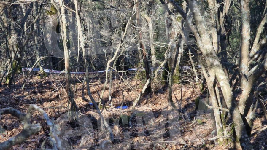 «Κανείς δε πιστεύει ότι αυτοκτόνησε»: Το σημείο  της φρίκης που βρέθηκε νεκρή η 28χρονη Βίκυ και τα στοιχεία που ανατριχιάζουν