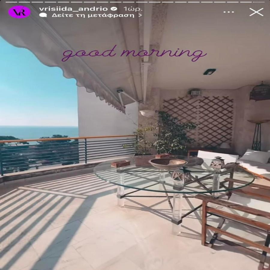 Τεράστια βεράντα με θέα θάλλασα: Το πολυτελές «παλάτι» που χτίζουν Βρισηίδα Ανδριώτου και Σπύρος Μαρτίκας