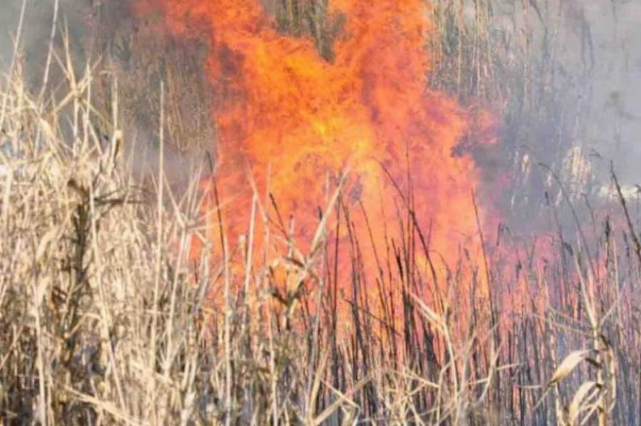 «Πάγωσε» η Λάρισα: Νεκρός ο 68χρονος που πήγε να κάψει χόρτα στο χωράφι του και βρήκε τραγικό θάνατο