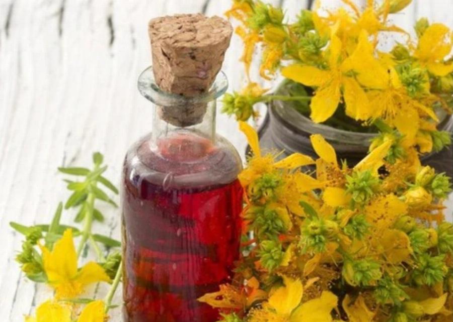 Σπαθόλαδο: Το βάλσαμο των αρχαίων Σπαρτιατών,  που θεραπεύει το έλκος στο στομάχι και την κατάθλιψη