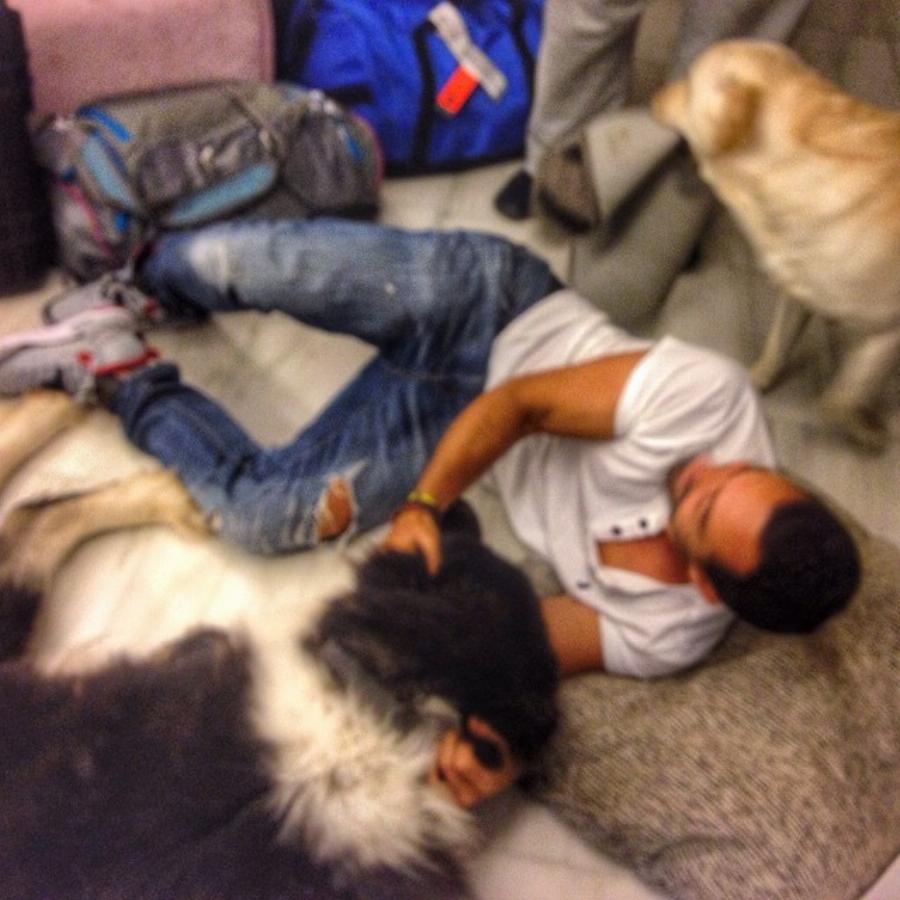 Νέα στέγη ψάχνουν Τανιμανίδης και Μπόμπα: «Θέλουμε διαμέρισμα με θέα την Ακρόπολη σε λογική τιμή»