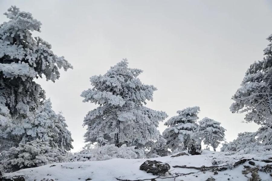 Στα λευκά «ντύθηκε» η Πάρνηθα: Έπεσαν τα πρώτα χιόνια του 2023 και οι εικόνες εντυπωσιάζουν