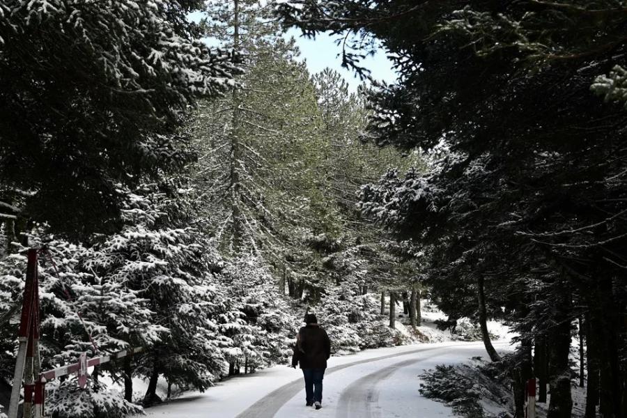 Στα λευκά «ντύθηκε» η Πάρνηθα: Έπεσαν τα πρώτα χιόνια του 2023 και οι εικόνες εντυπωσιάζουν