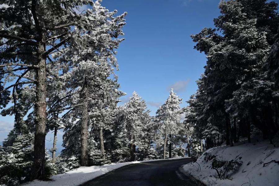 Στα λευκά «ντύθηκε» η Πάρνηθα: Έπεσαν τα πρώτα χιόνια του 2023 και οι εικόνες εντυπωσιάζουν