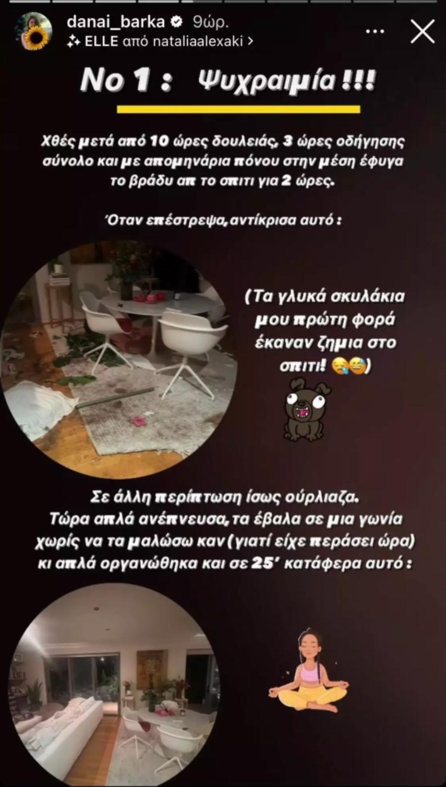 Δύσκολο βράδυ για τη Δανάη Μπάρκα: «Είδα αυτό μόλις μπήκα σπίτι, προσπάθησα να μην ουρλιάξω»