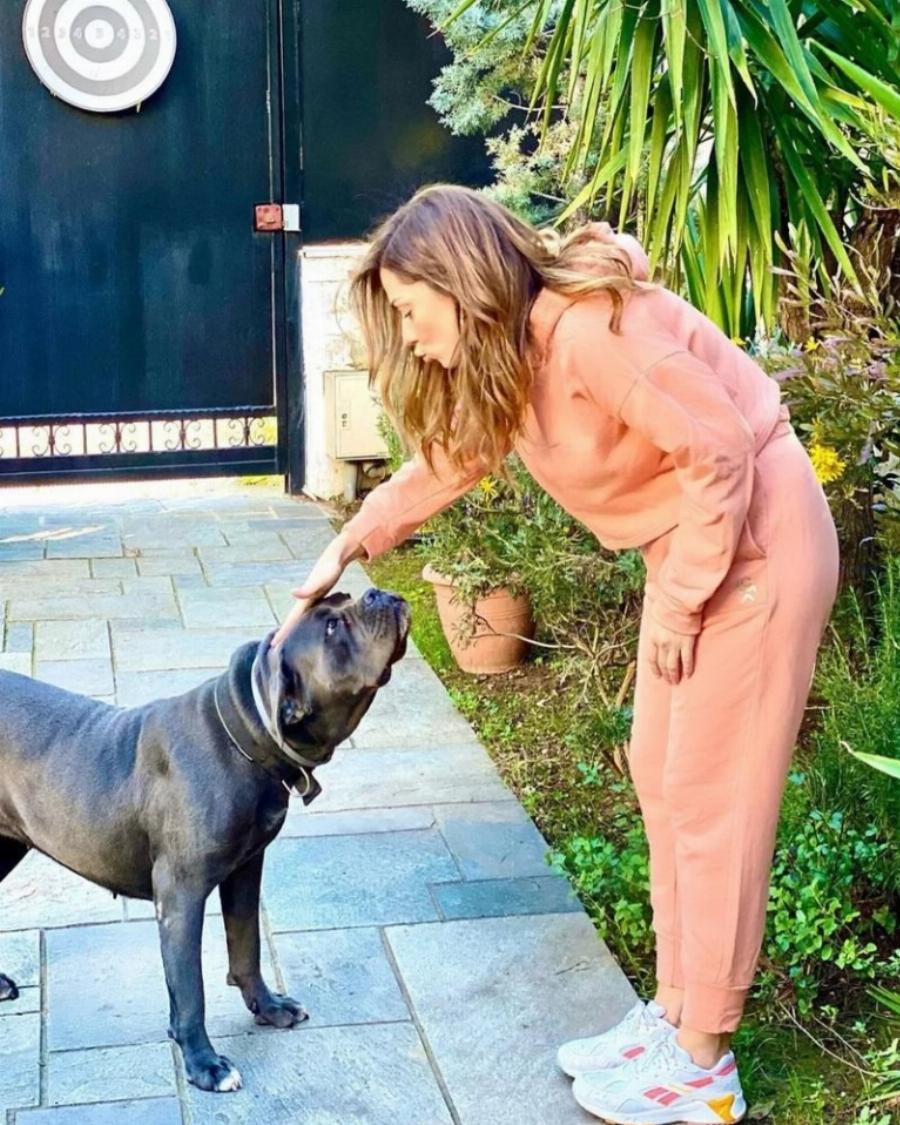 Σαν ελβετικό σαλέ με φυτά και τζάκι: Αυτό είναι το σπίτι-παλάτι της Βάσως Λασκαράκη και του Λευτέρη Σουλτάτου