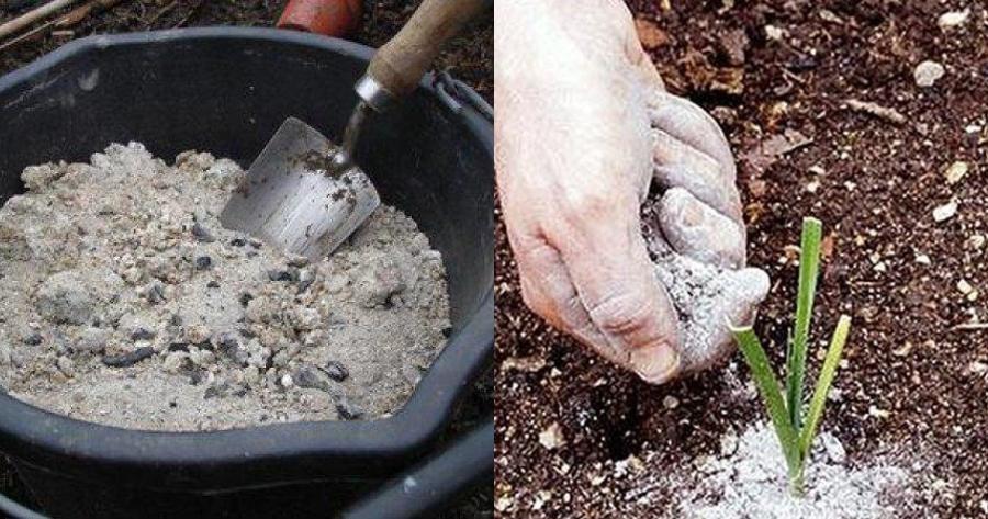 Δεν πάει ο νους σας: Αυτά είναι τα 9 πράγματα που μπορείτε να κάνετε με τη στάχτη