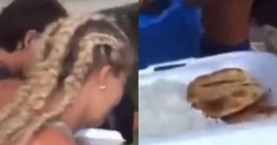 Όλα στη φόρα: Στη δημοσιότητα βίντεο από τσιμπούσι παικτών στα παρασκήνια του Survivor All Star