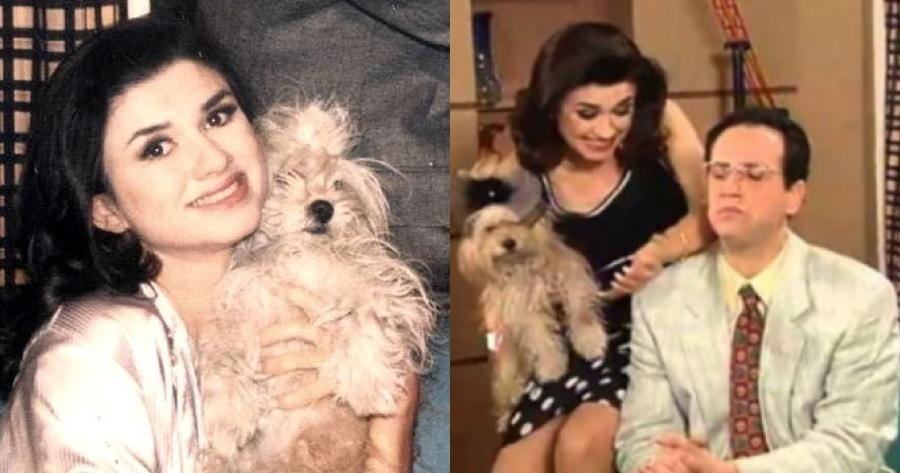 Μετά από 28 χρόνια μαθεύτηκε η αμοιβή: Το ποσό που έπαιρνε για κάθε επεισόδιο ο σκύλος στους Μεν και Δεν