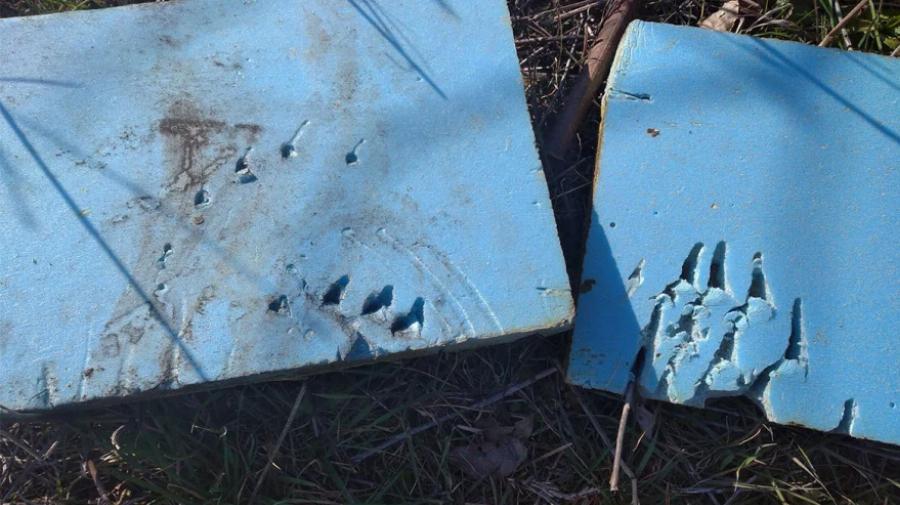 Έμειναν άφωνοι οι κάτοικοι: Η πεινασμένη αρκούδα που έφαγε 40 κιλά μέλι στο όρος Πάικο και κατέστρεψε τα μελίσσια