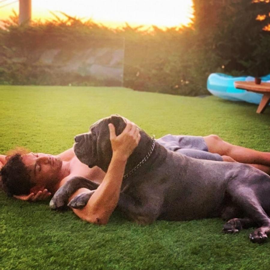 Μαύρο με σύγχρονη διακόσμηση και πισίνα: Αυτή είναι η βίλα των Δαλάκα – Φιντιρίκου και είναι από άλλον πλανήτη