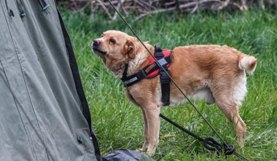 Η στιγμή που λύγισε στα συντρίμμια: Αποθέωση για τον διασώστη της ΕΜΑΚ και προπονητή του ΠΑΟΚ που βοήθησε στα Τέμπη