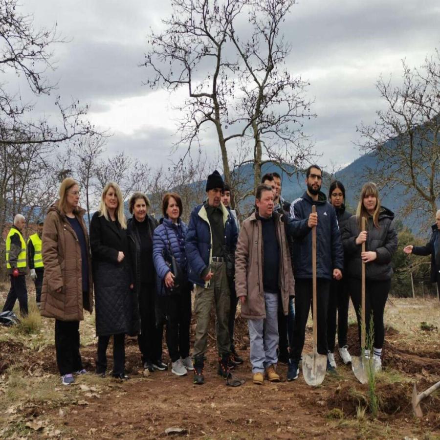 Συγκινούν φοιτητές για την τραγωδία στα Τέμπη: Φύτεψαν 57 κυπαρίσσια στη μνήμη των 57 θυμάτων