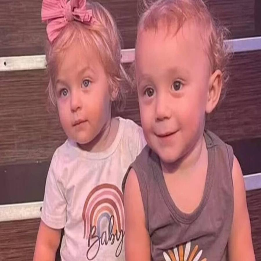 Οικογενειακή τραγωδία: Μόλις 18 μηνών δίδυμα έπεσαν στην πισίνα του σπιτιού τους και πνίγηκαν