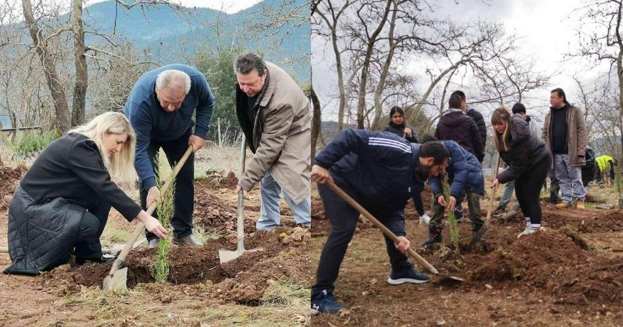 Συγκινούν φοιτητές για την τραγωδία στα Τέμπη: Φύτεψαν 57 κυπαρίσσια στη μνήμη των 57 θυμάτων