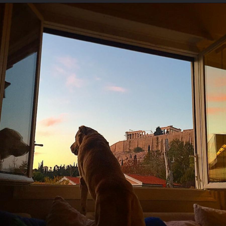 Νεοκλασικό και με θέα την Ακρόπολη: Η σπιταρόνα της Σμαράγδας Καρύδη στην Πλάκα είναι λες και βγήκε από όνειρο