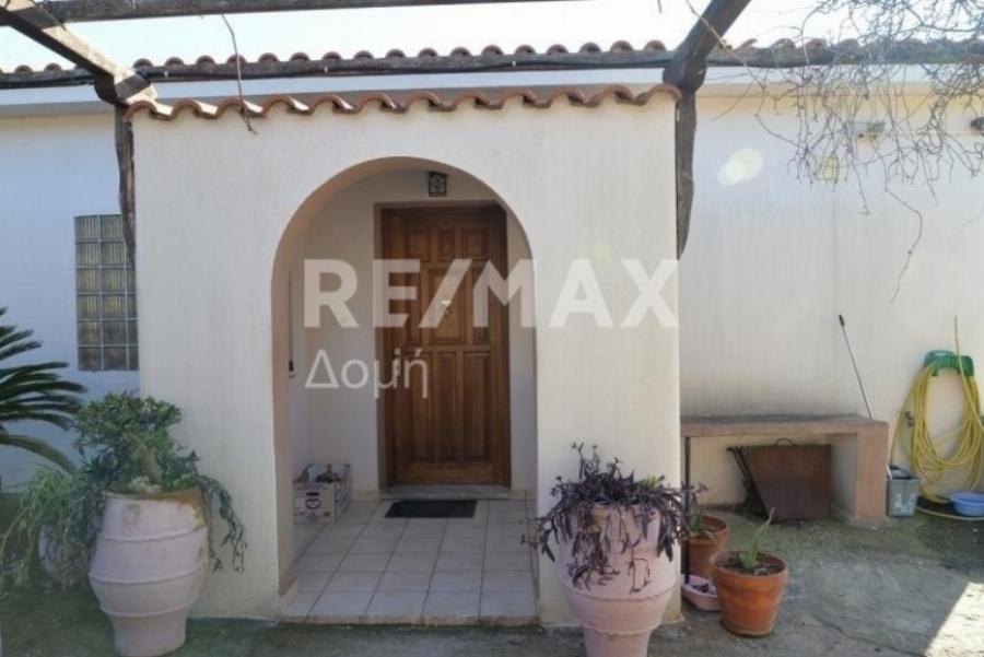 «Χαμογελάει» από τον παράδεισο η Καρολάιν: Οι γονείς της πουλάνε το σπίτι τους και εγκαταλείπουν την Αλόννησο