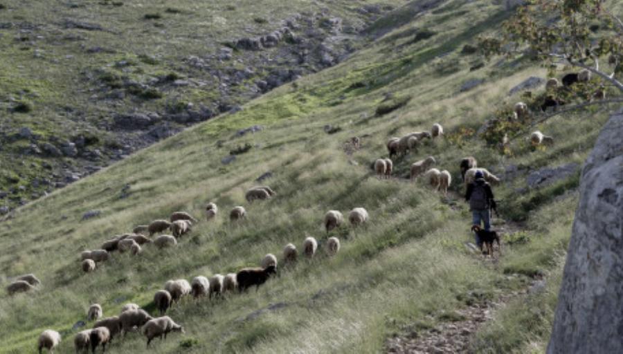 Αιτωλοακαρνανία: Εργάτης βρήκε 50.000 ευρώ και σπατάλησε τις 14.000 σε διασκέδαση και κεράσματα