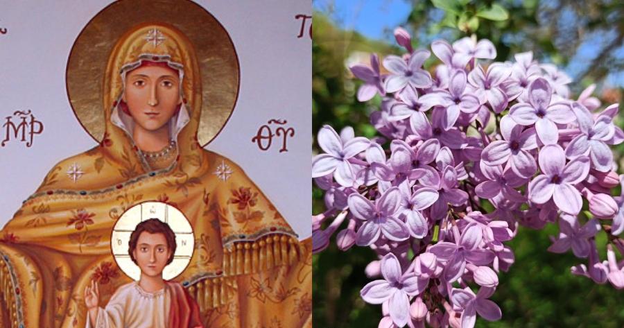 Λίγοι το γνωρίζουν: Ο λόγος που οι Πασχαλιές θεωρούνται ευλογημένες από την Παναγία