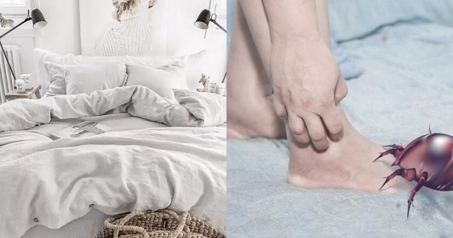 Όλοι πρέπει να το γνωρίζουν αυτό: Εσείς κάθε πότε αλλάζετε τα σεντόνια σας;