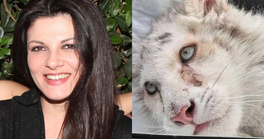 Φόρος τιμής στο λευκό τιγράκι: Η Τάνια Τρύπη «τιμάει» τη Χασίγια και την έκανε τατουάζ στο σώμα της