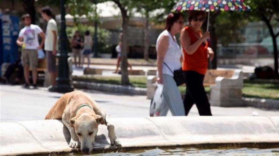Έρχεται εφιαλτικός καύσωνας αυτό το καλοκαίρι: «Είμαστε στην ευθεία για την καταστροφή», λέει ο Ζερεφός