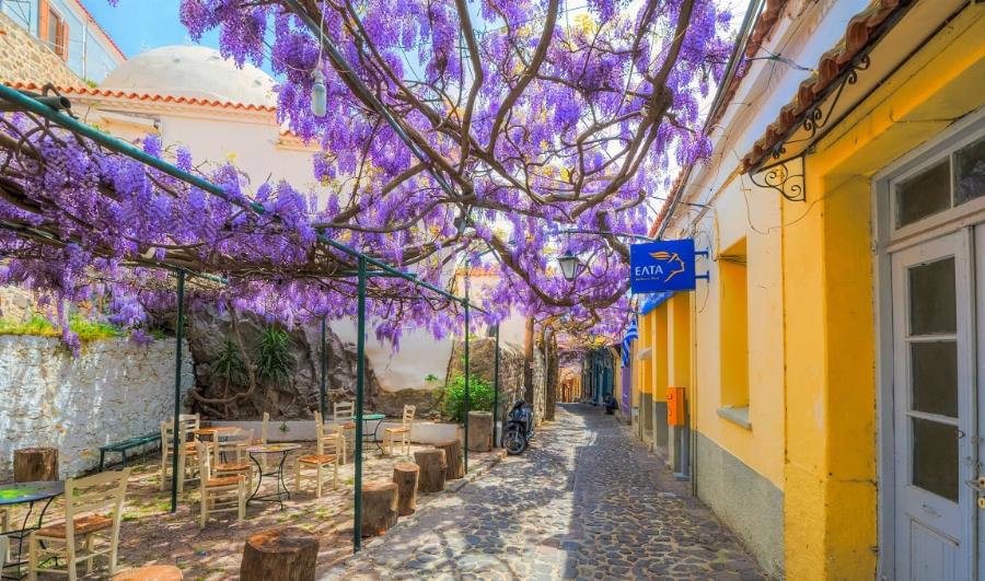 Το πιο όμορφο δρομάκι του κόσμου: Βρίσκεται στην Ελλάδα και αυτή είναι η ιστορία του