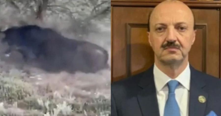 Αδιανόητο περιστατικό: Βουβάλι σκότωσε τον πρόεδρο της Κυνηγετικής Ομοσπονδίας του Μεξικό