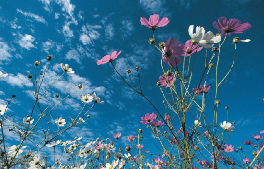 «Δεν πέφτει ποτέ έξω»: Θα… βράσουμε, έρχεται το πιο ζεστό καλοκαίρι με ακραίες θερμοκρασίες – Αναλυτικός πίνακας